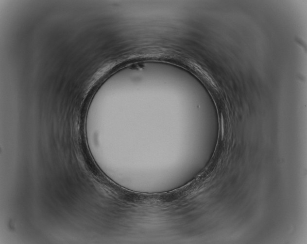 X0000097780483200803070916