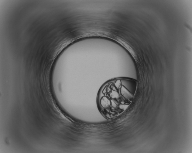 X0000097780485200803070916