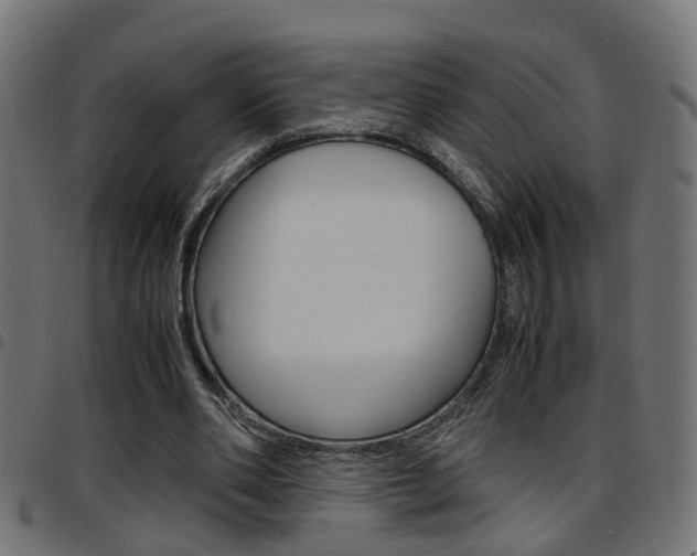X0000097780486200803070916
