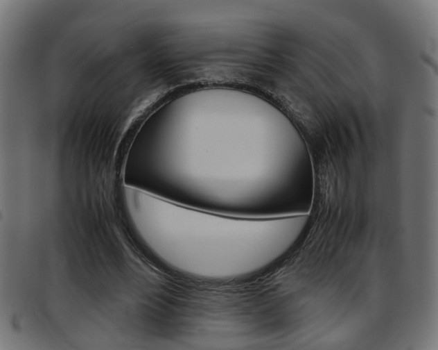 X0000097780488200803070916