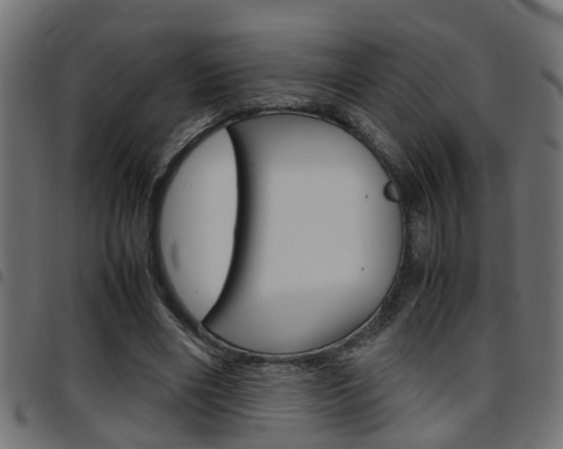 X0000097780490200803070916