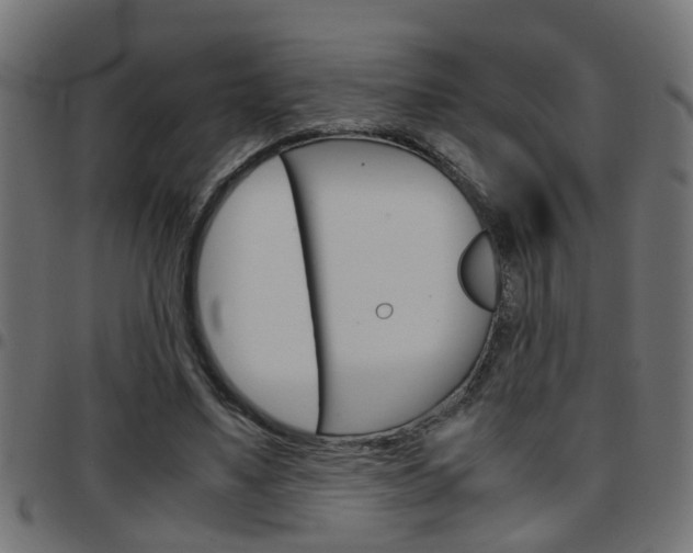 X0000097780491200803070916