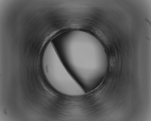 X0000097780492200803070916