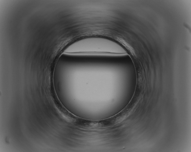 X0000097780493200803070916