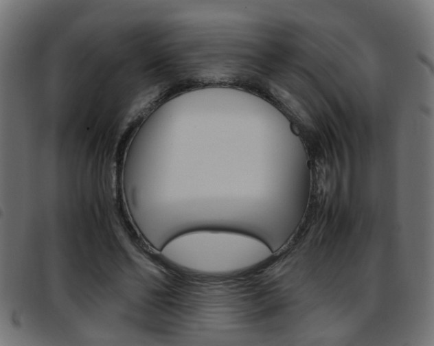 X0000097780494200803070916