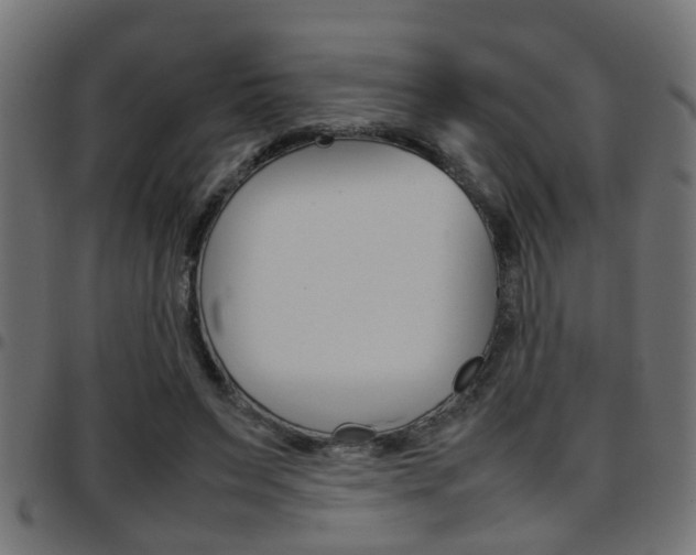 X0000097780495200803070916