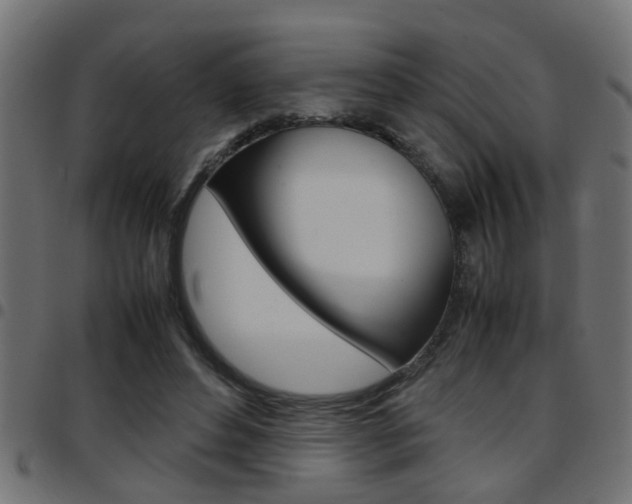 X0000097780496200803070916