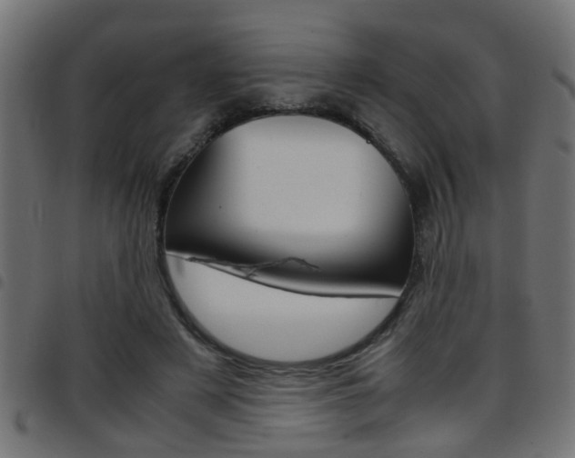 X0000097780497200803070916