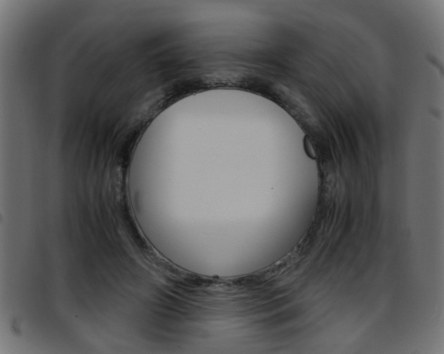 X0000097780498200803070916