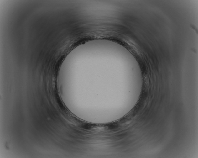 X0000097780499200803070916
