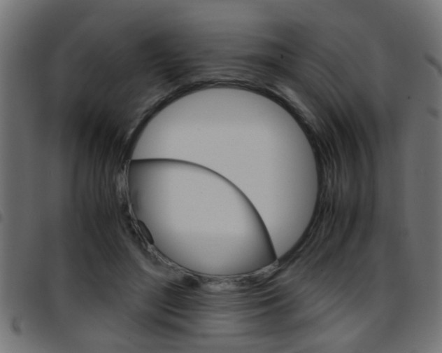 X0000097780500200803070916