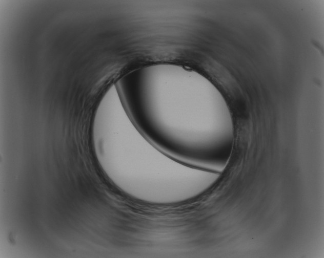 X0000097780501200803070916
