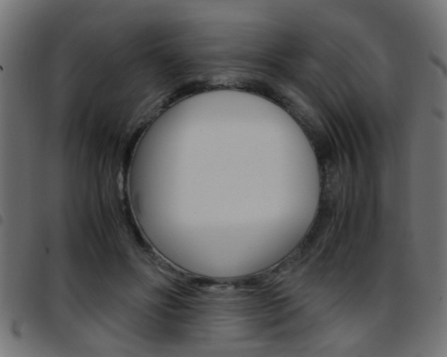 X0000097780502200803070916