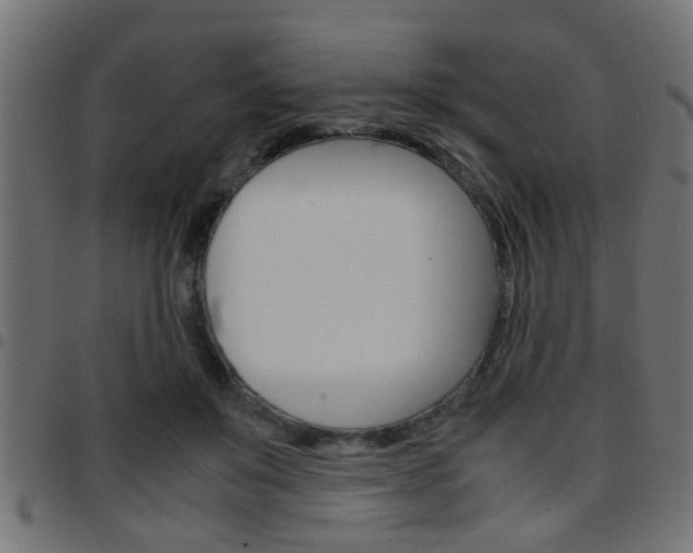 X0000097780503200803070916