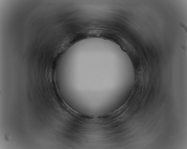X0000097780504200803070916