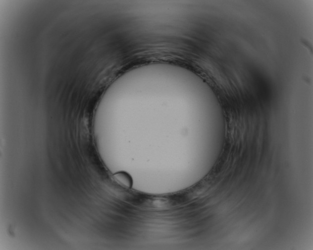 X0000097780506200803070916