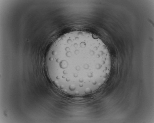 X0000097780507200803070916