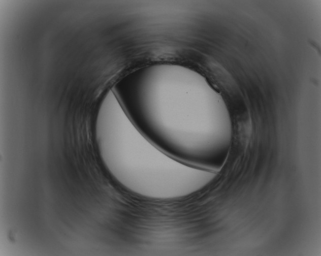 X0000097780508200803070916
