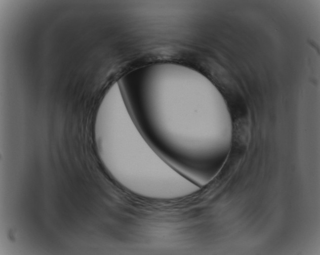 X0000097780509200803070916