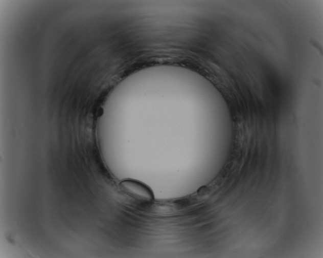 X0000097780510200803070916