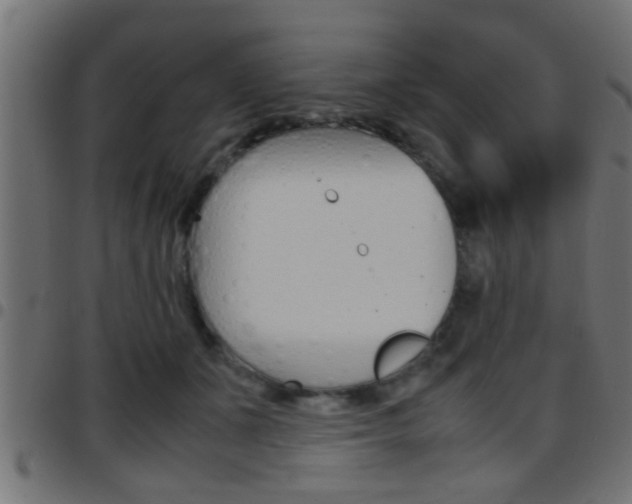 X0000097780511200803070916