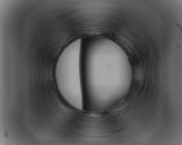 X0000097780512200803070916