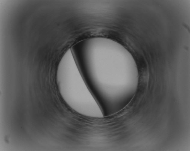 X0000097780513200803070916