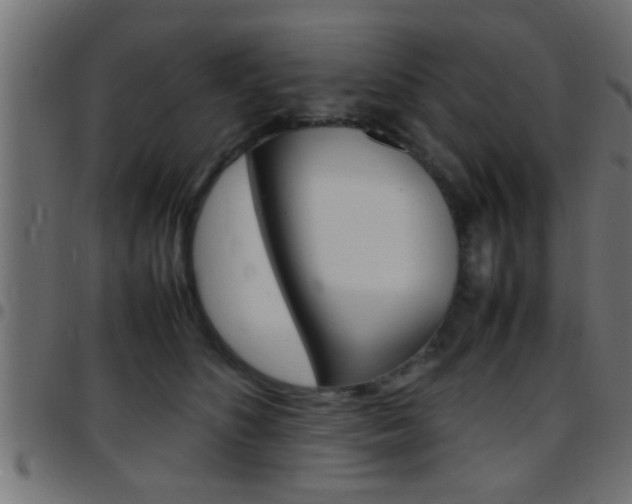 X0000097780516200803070916