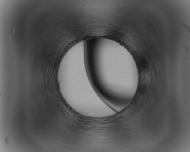 X0000097780517200803070916