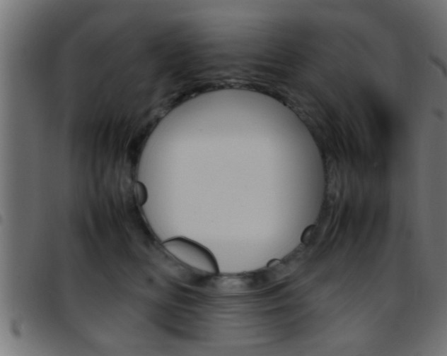 X0000097780518200803070916