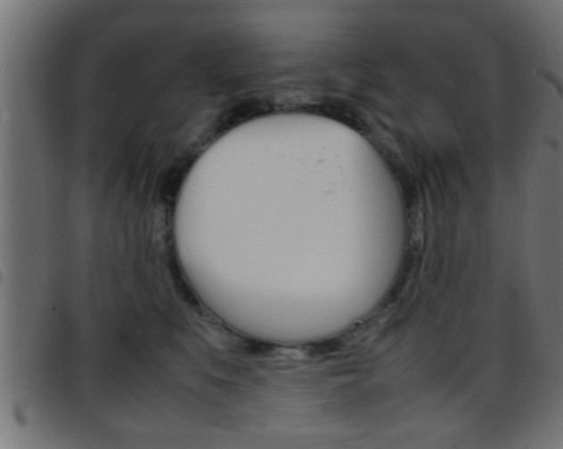 X0000097780519200803070916