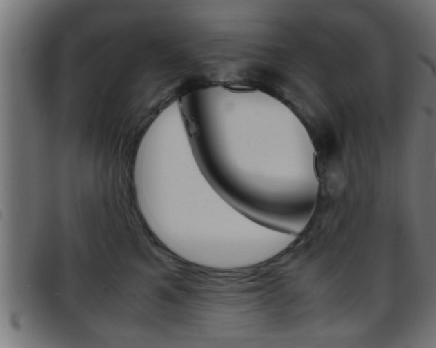 X0000097780521200803070916