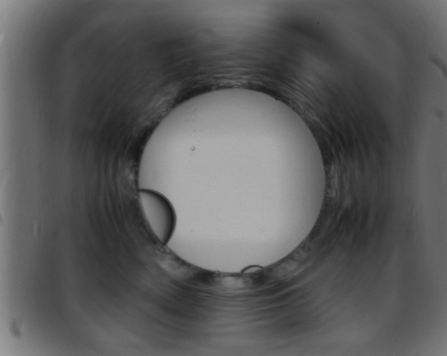 X0000097780522200803070916