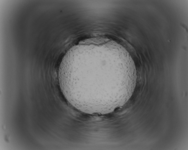 X0000097780523200803070916