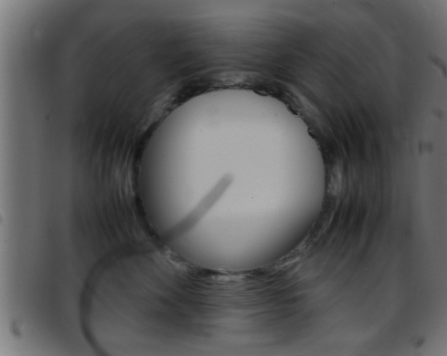 X0000097780524200803070916