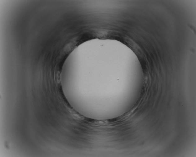 X0000097780525200803070916