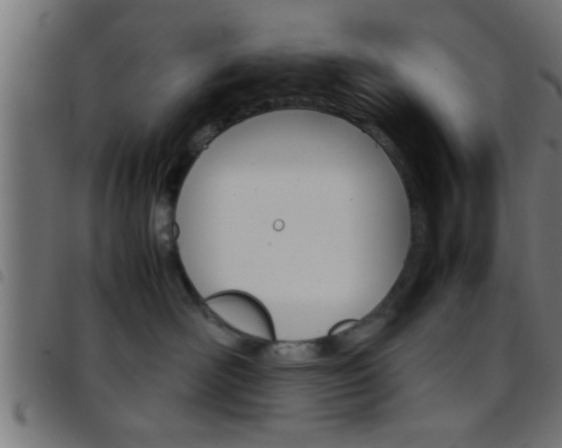 X0000097780526200803070916