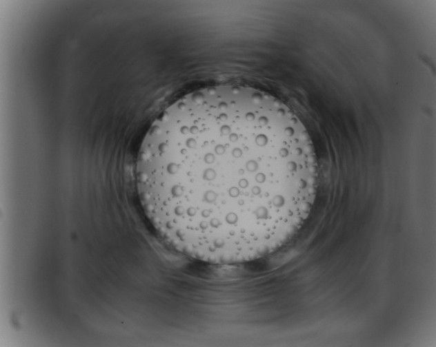 X0000097780527200803070916