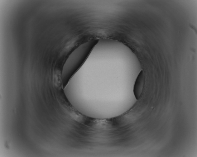 X0000097780528200803070916