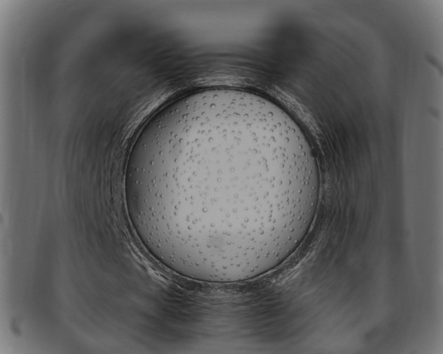 X0000097780529200803070915
