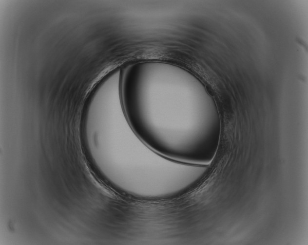 X0000097780530200803070915