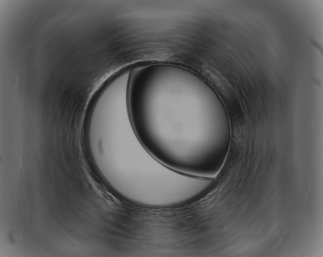 X0000097780532200803070915
