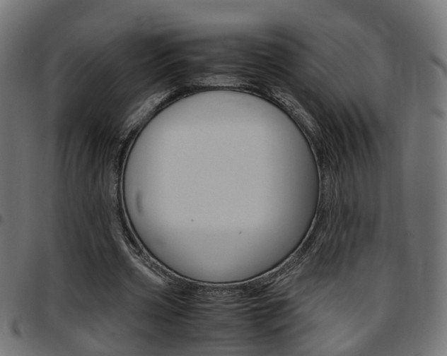 X0000097780533200803070915