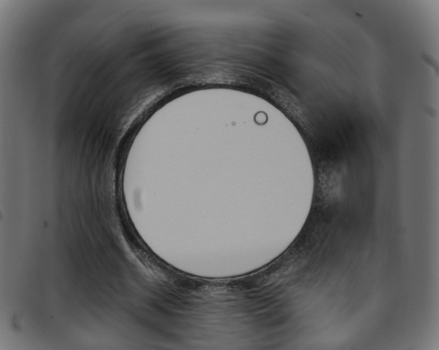 X0000097780534200803070915