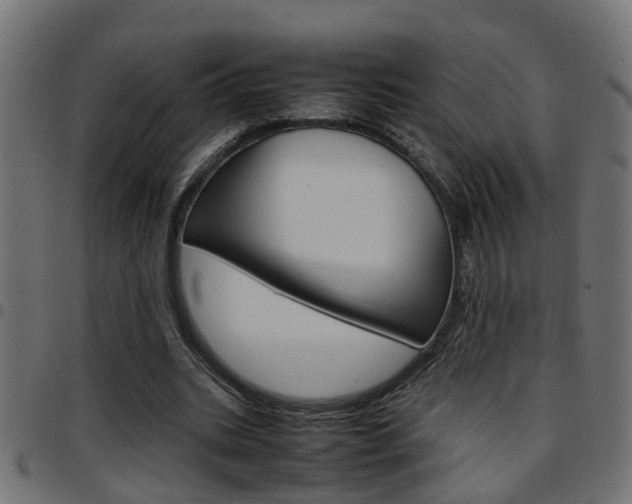 X0000097780535200803070915