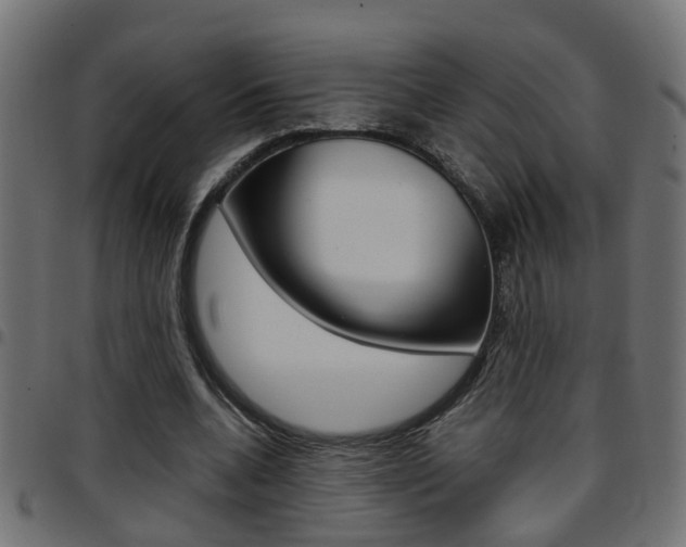 X0000097780536200803070915
