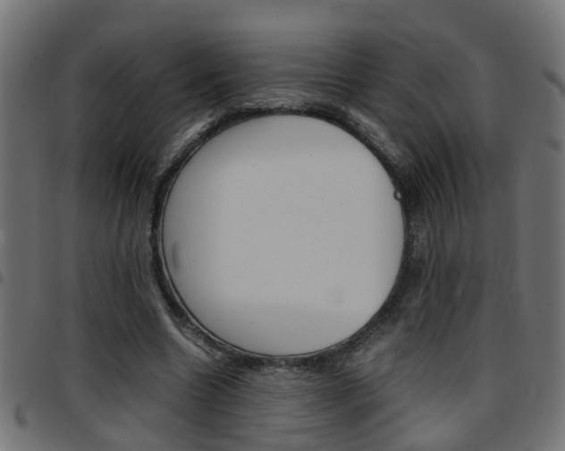 X0000097780538200803070915
