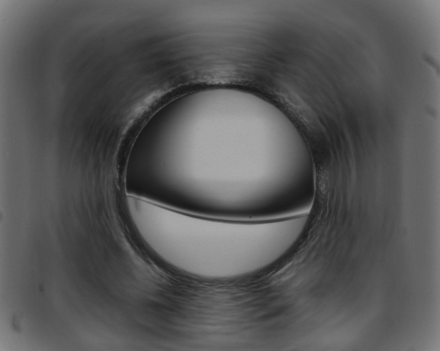 X0000097780540200803070915