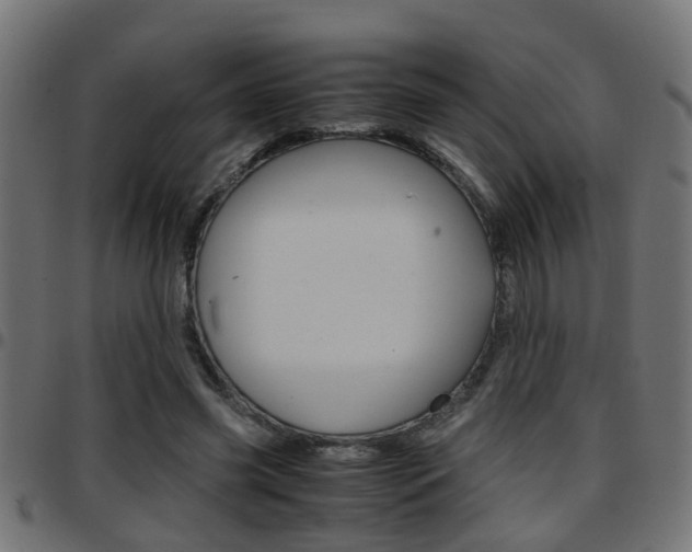 X0000097780541200803070915
