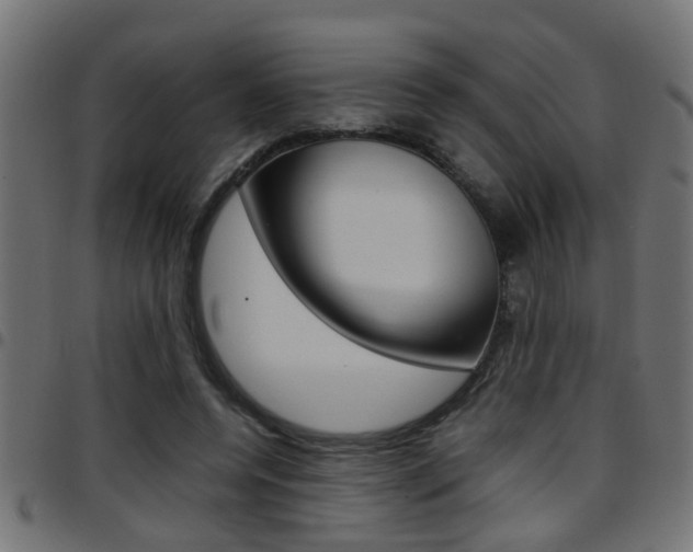 X0000097780544200803070915
